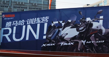 定帧图