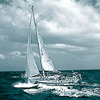 太平洋横断单人帆船比赛