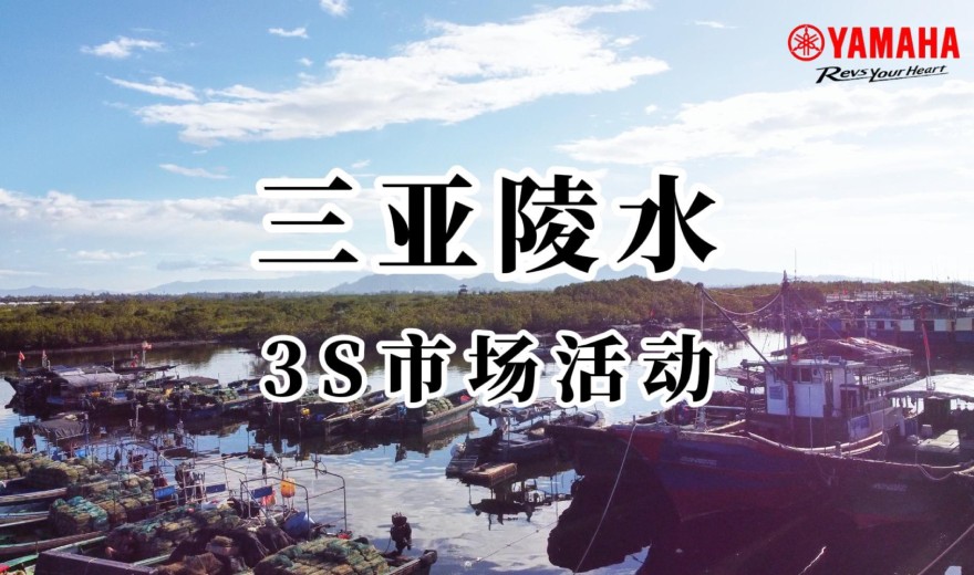 定帧图