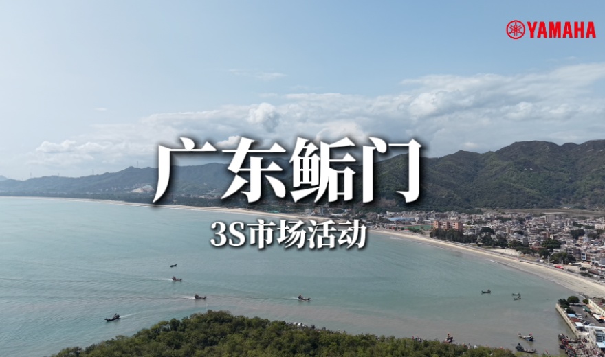 定帧图