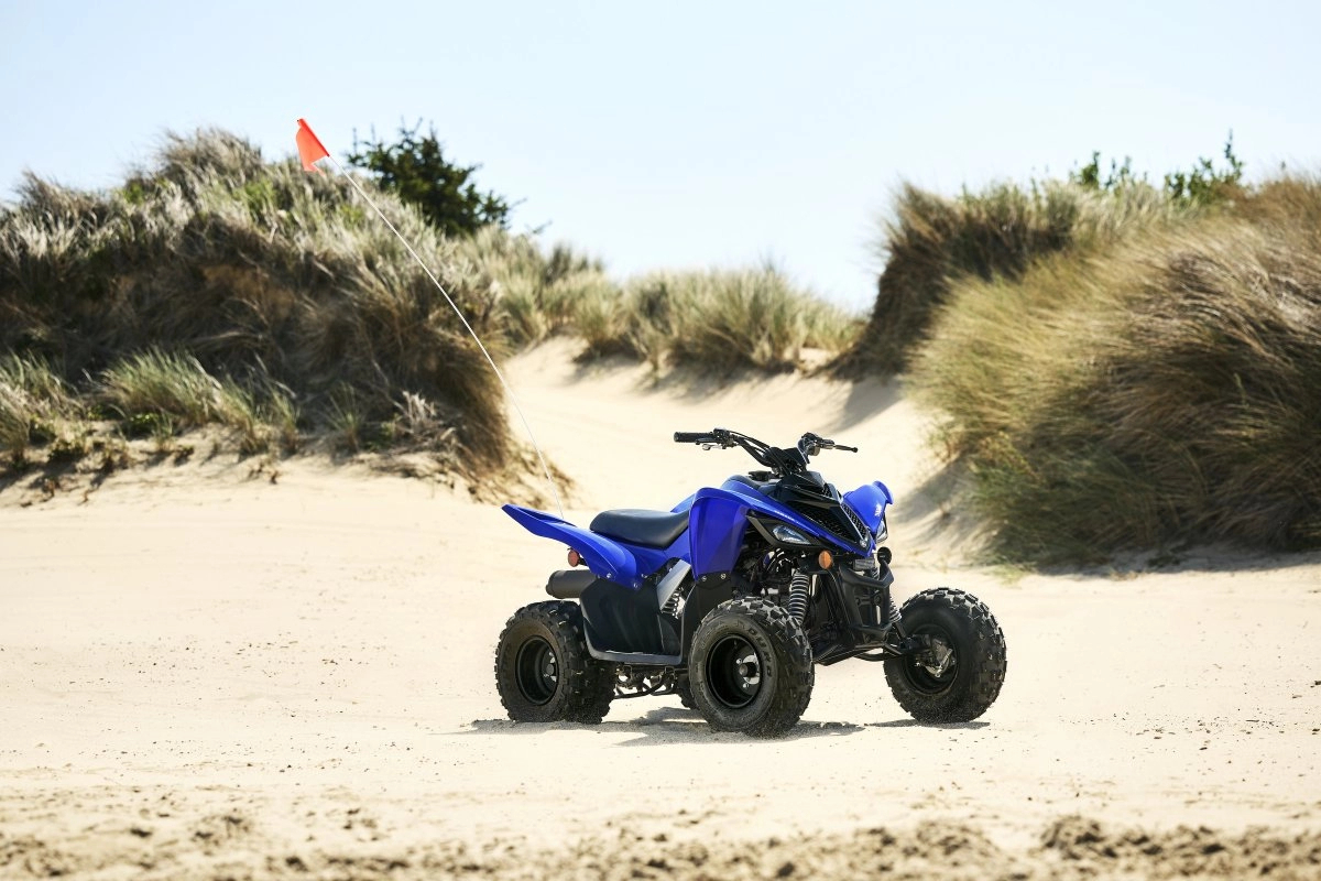 Raptor 110
