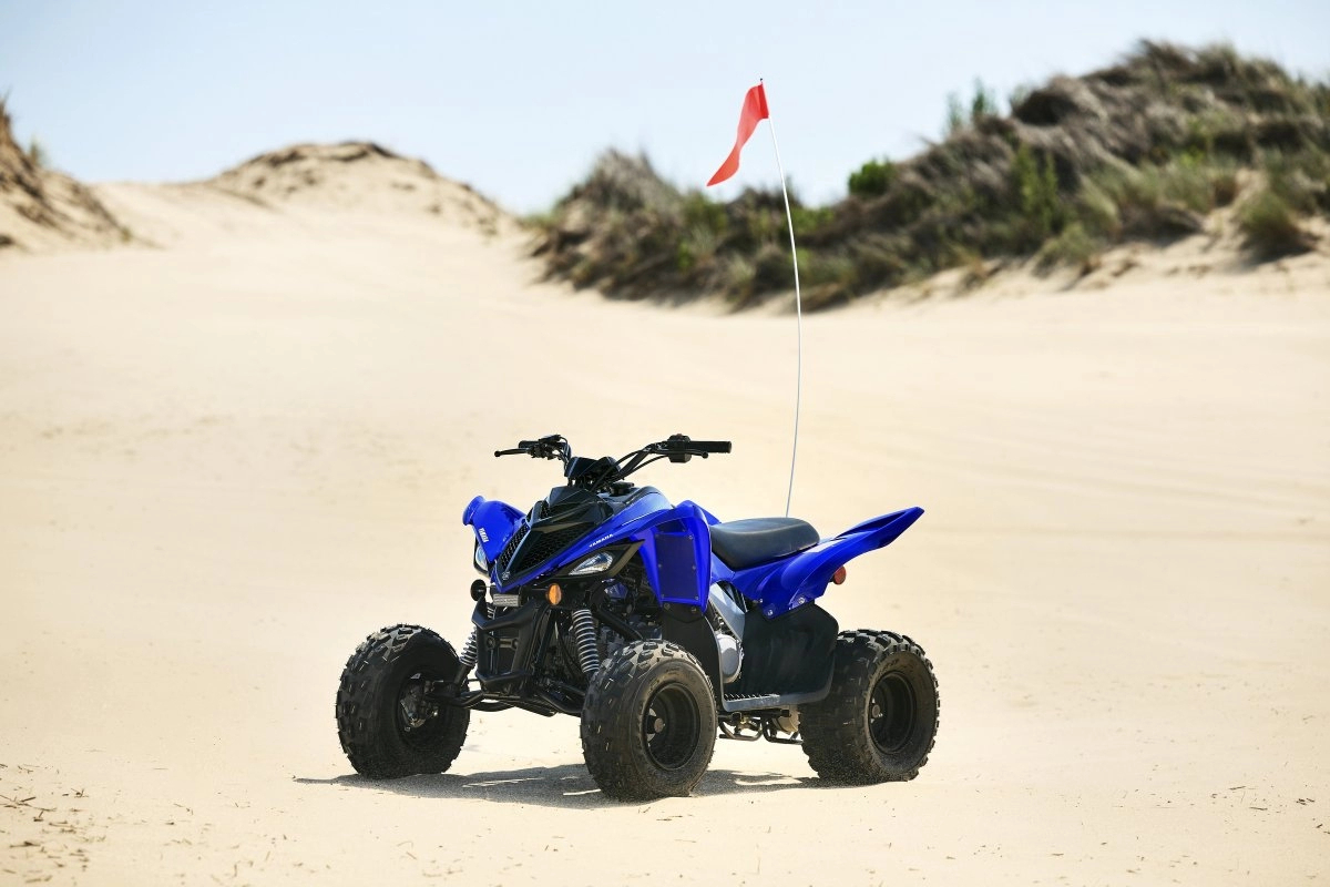 Raptor 110