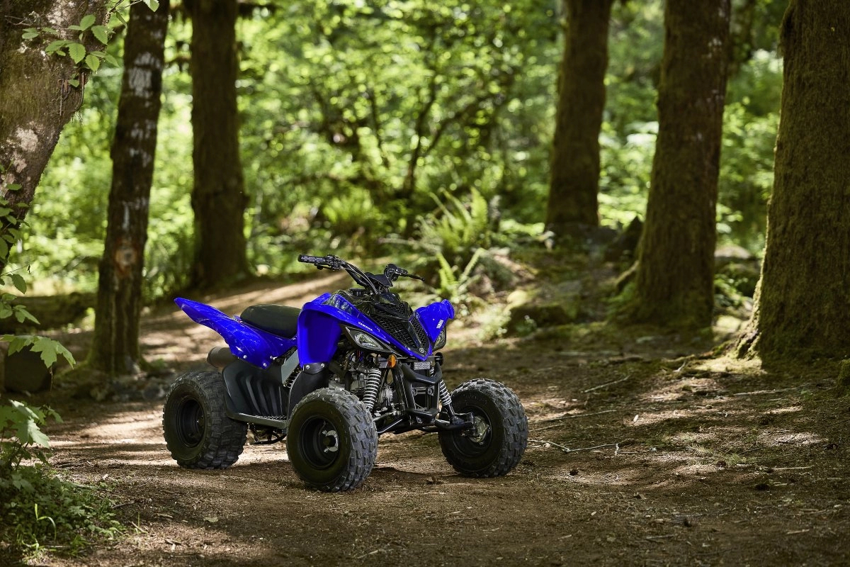 Raptor 110