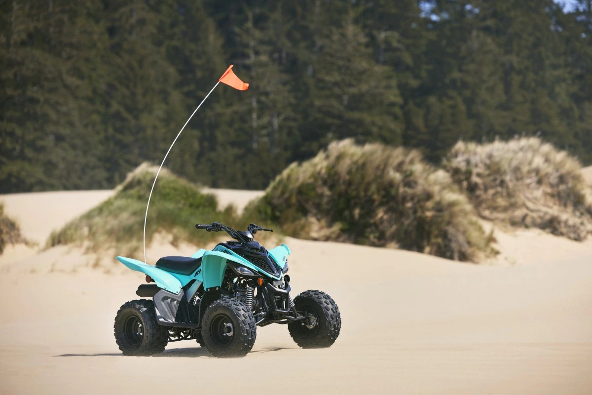 Raptor 110