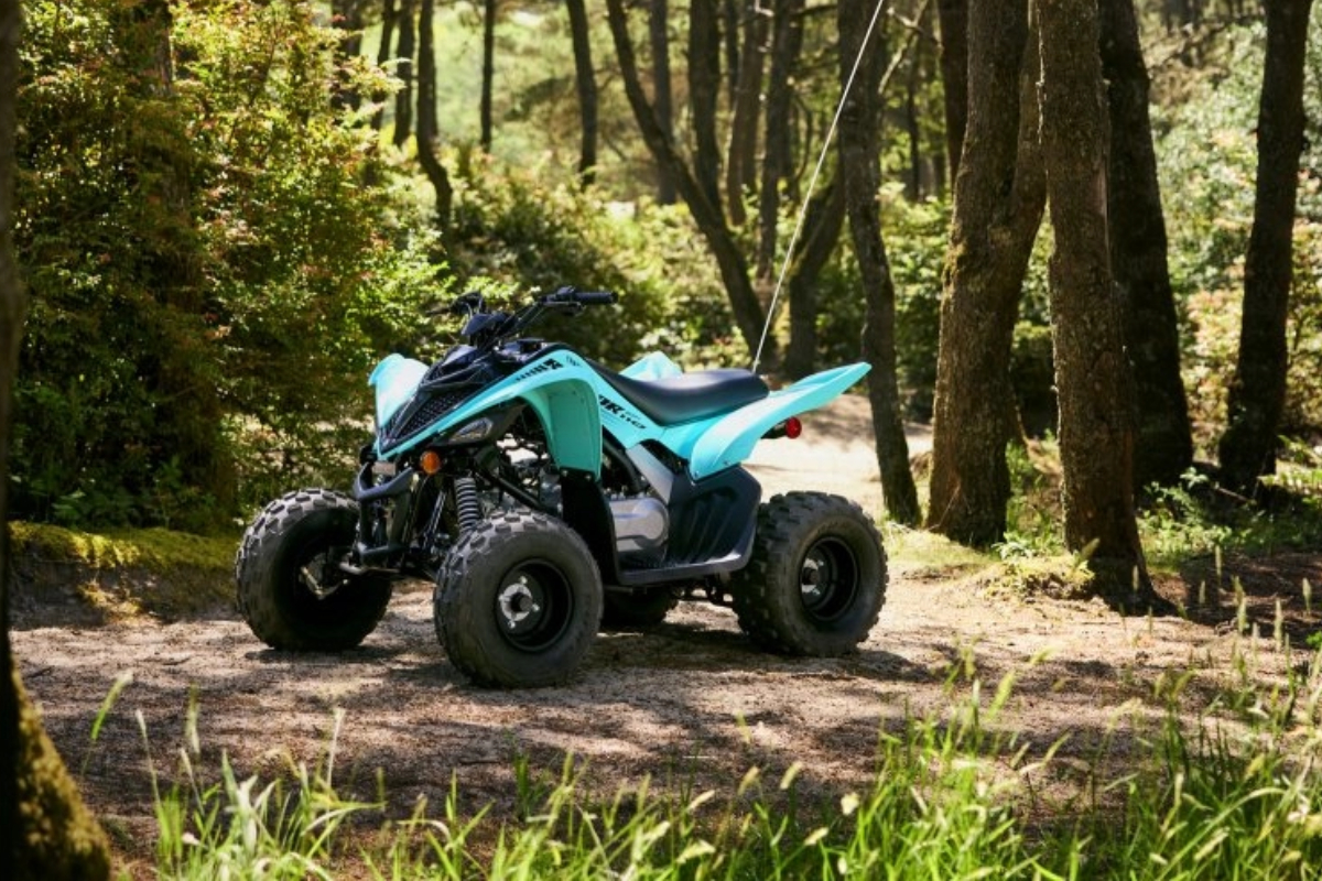 Raptor 110