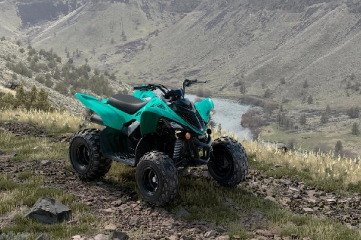 Raptor 110