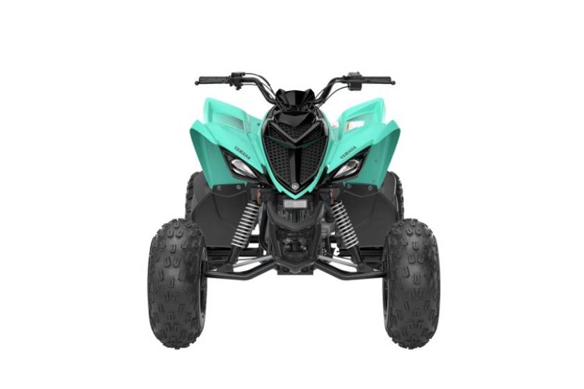 Raptor 110