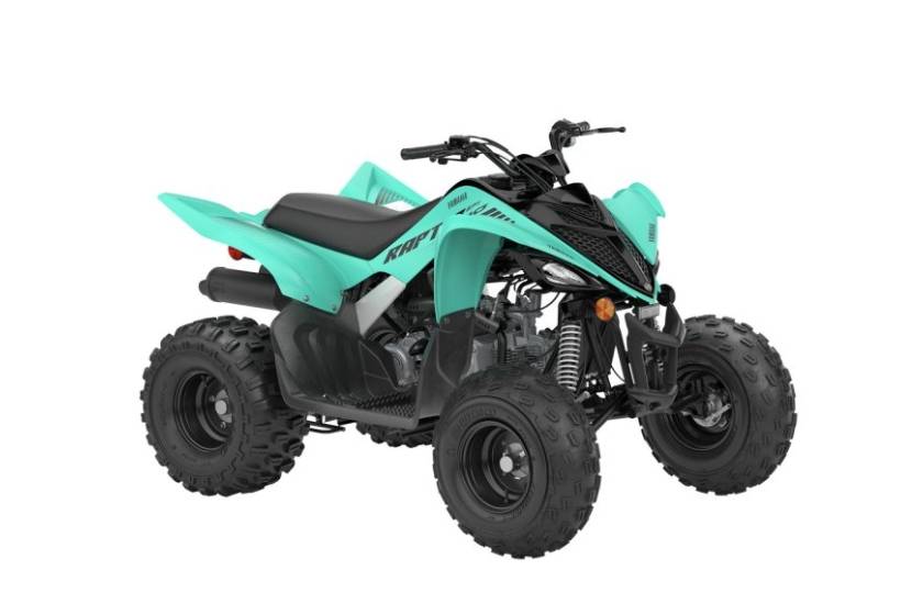 Raptor 110