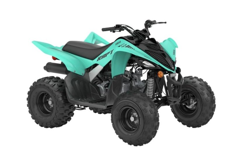 Raptor 110